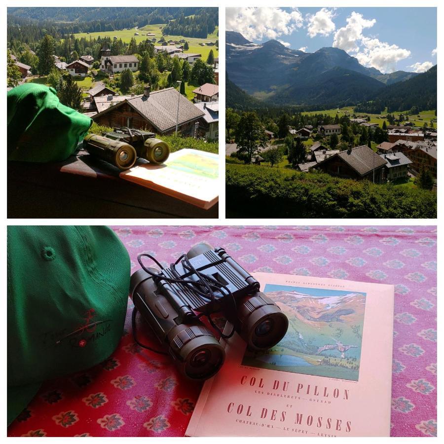 Studio Avec Vue Splendide Sur Les Diablerets Esterno foto