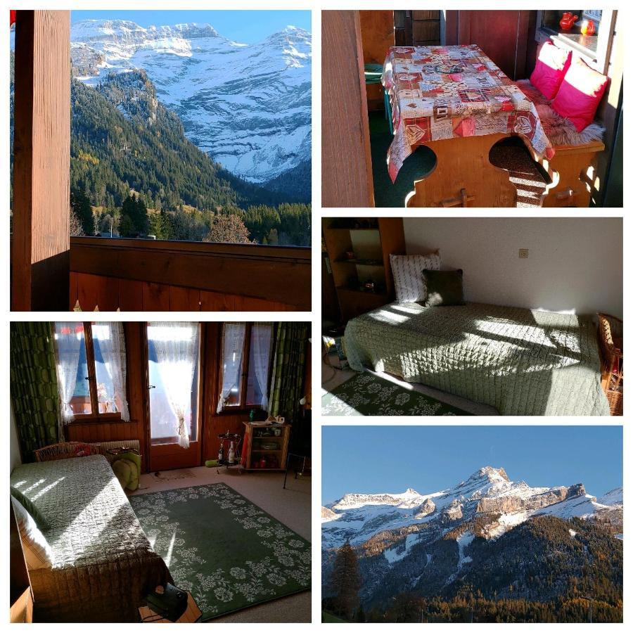 Studio Avec Vue Splendide Sur Les Diablerets Esterno foto