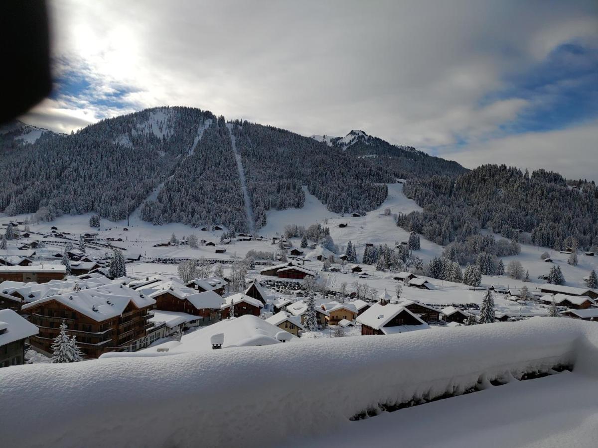 Studio Avec Vue Splendide Sur Les Diablerets Esterno foto