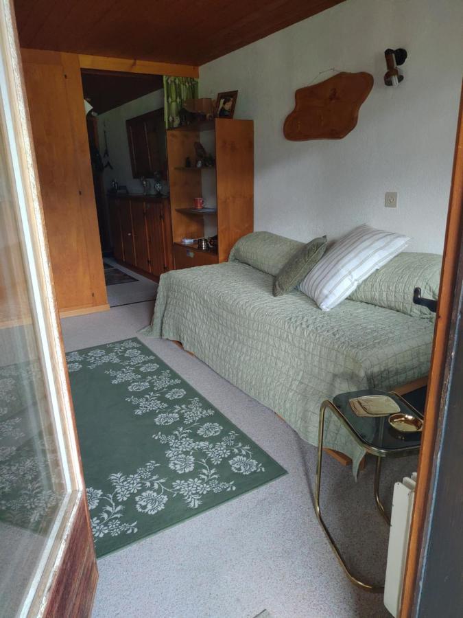 Studio Avec Vue Splendide Sur Les Diablerets Esterno foto